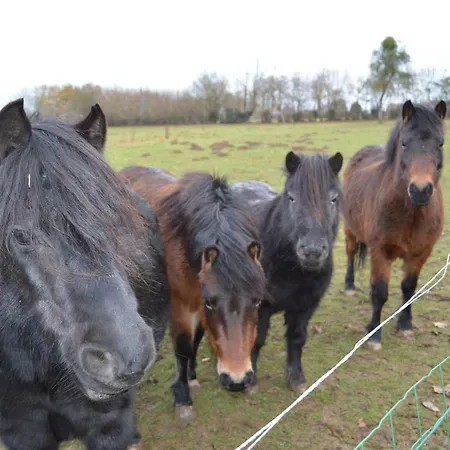 De L'hotel Mahey Champrépus