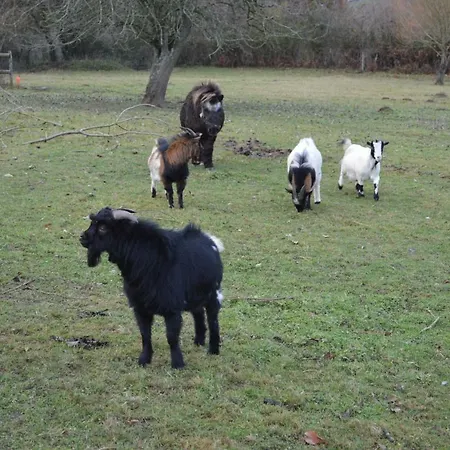 Casa vacanze De L'hotel Mahey Champrépus