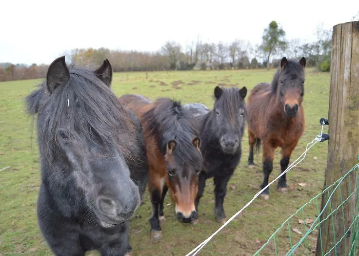 De L'hotel Mahey Champrépus