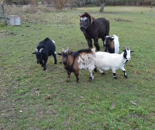 펜션 De L'hotel Mahey *