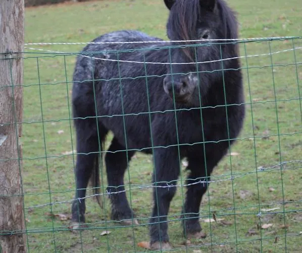 펜션 De L'hotel Mahey *